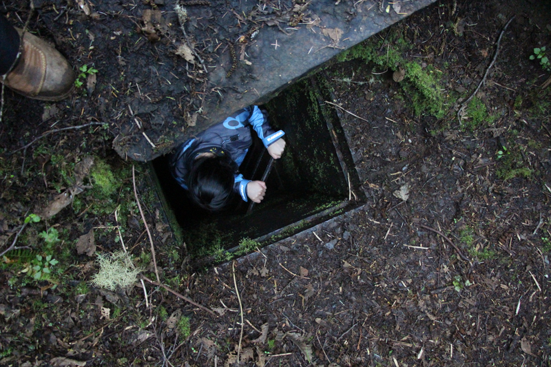 Illustration for article titled Finding Abandoned WWII Bunkers On Washington's Olympic Peninsula